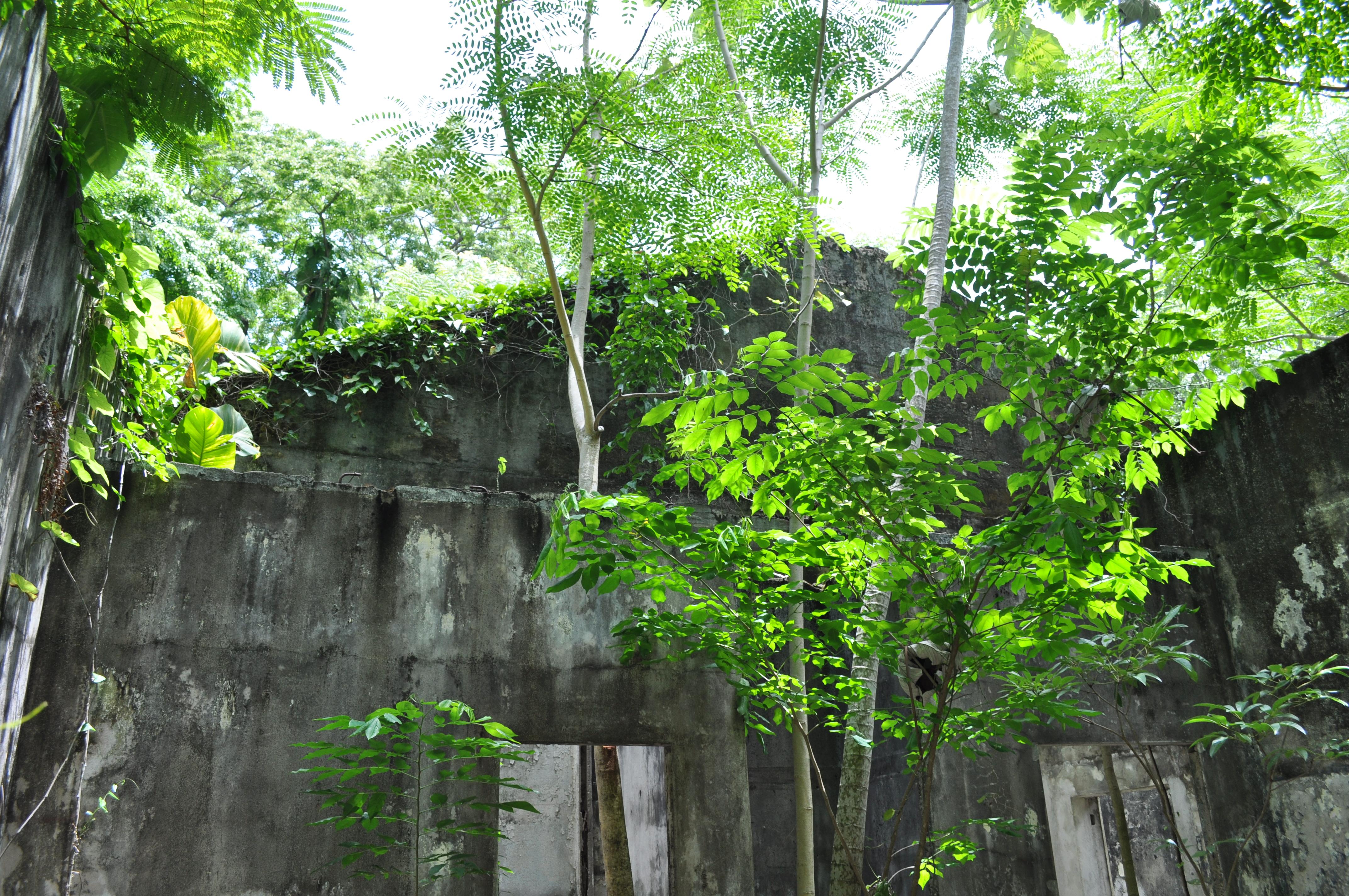 Antigua Lechería y Residencia de la Facultad de la Universidad de Puerto Rico - San Juan (Río Piedras) - 2014 00028
